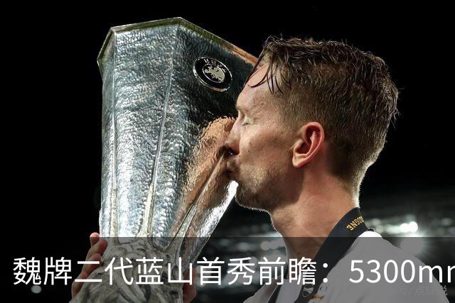 魏牌二代蓝山首秀前瞻：5300mm的方盒子、装了一套2.0T四挡混动